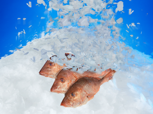 Seafood Processor