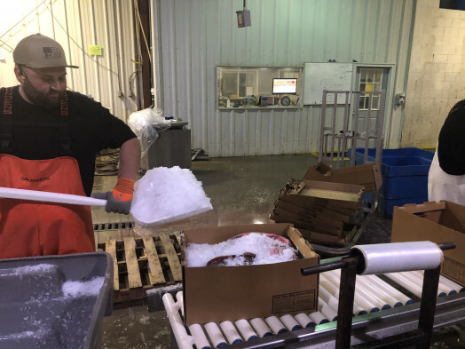 Shafer Fisheries: Howe supera cualquier opción de menor costo